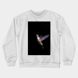 Free - Ruby throated Hummingbird Crewneck Sweatshirt